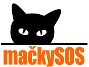 Modrá něha - Chovateľská stanica ruských modrých mačiek